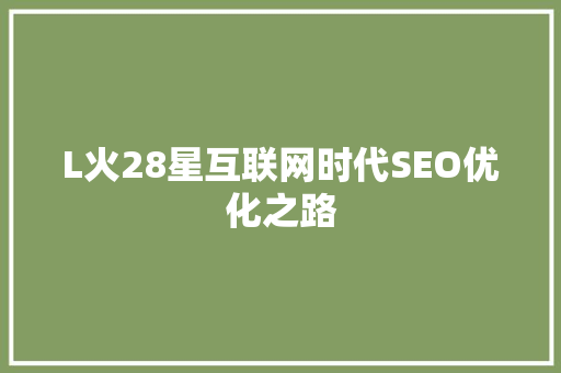 L火28星互联网时代SEO优化之路