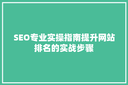 SEO专业实操指南提升网站排名的实战步骤