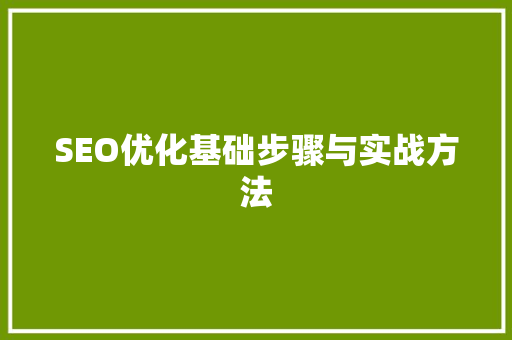 SEO优化基础步骤与实战方法