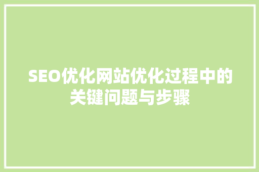 SEO优化网站优化过程中的关键问题与步骤
