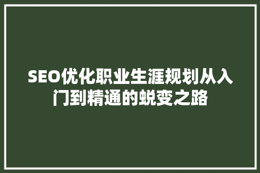 SEO优化职业生涯规划从入门到精通的蜕变之路
