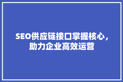 SEO供应链接口掌握核心，助力企业高效运营