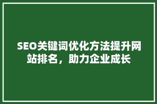 SEO关键词优化方法提升网站排名，助力企业成长