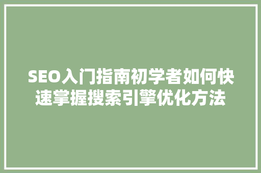 SEO入门指南初学者如何快速掌握搜索引擎优化方法