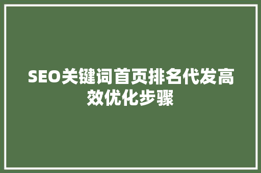 SEO关键词首页排名代发高效优化步骤