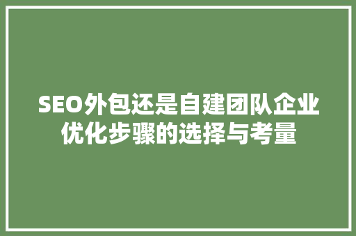 SEO外包还是自建团队企业优化步骤的选择与考量