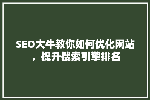 SEO大牛教你如何优化网站，提升搜索引擎排名