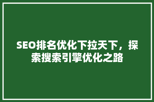 SEO排名优化下拉天下，探索搜索引擎优化之路