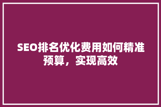 SEO排名优化费用如何精准预算，实现高效