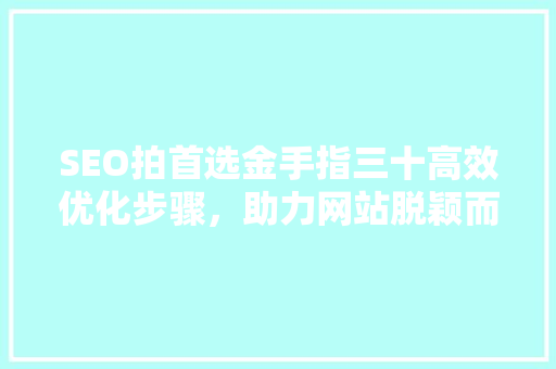 SEO拍首选金手指三十高效优化步骤，助力网站脱颖而出