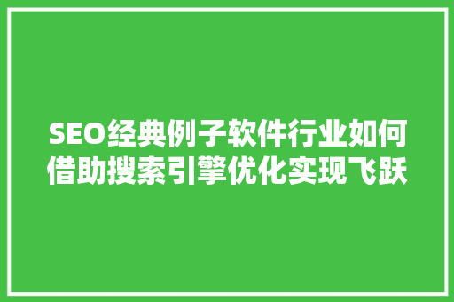 SEO经典例子软件行业如何借助搜索引擎优化实现飞跃