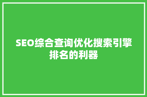 SEO综合查询优化搜索引擎排名的利器
