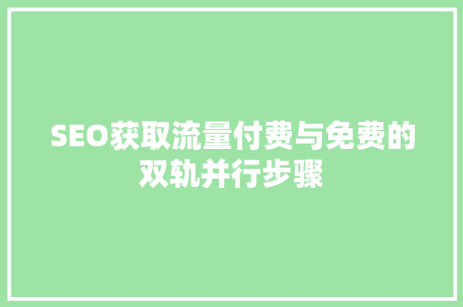 SEO获取流量付费与免费的双轨并行步骤