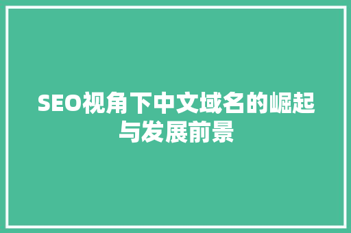 SEO视角下中文域名的崛起与发展前景