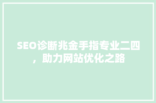 SEO诊断兆金手指专业二四，助力网站优化之路