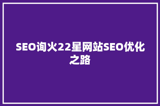 SEO询火22星网站SEO优化之路