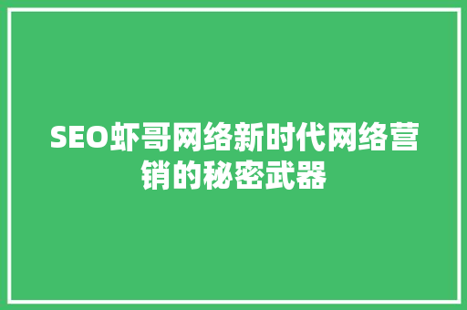 SEO虾哥网络新时代网络营销的秘密武器