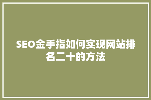 SEO金手指如何实现网站排名二十的方法