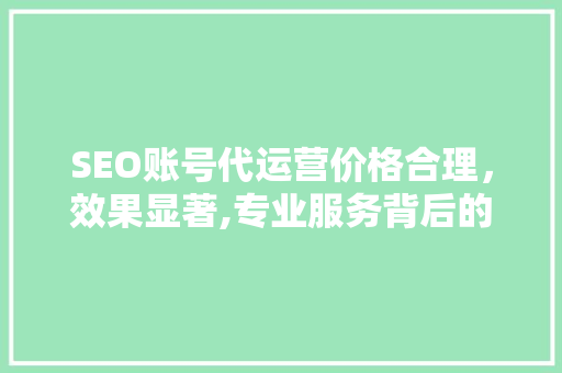 SEO账号代运营价格合理，效果显著,专业服务背后的价值