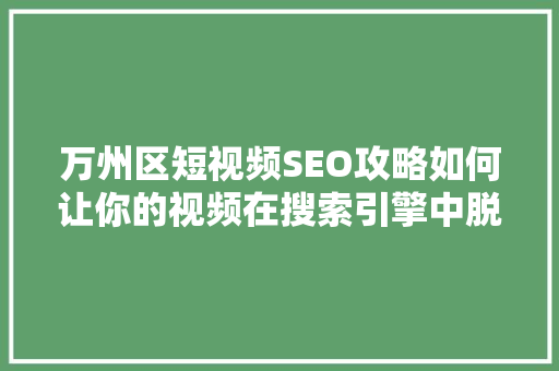 万州区短视频SEO攻略如何让你的视频在搜索引擎中脱颖而出