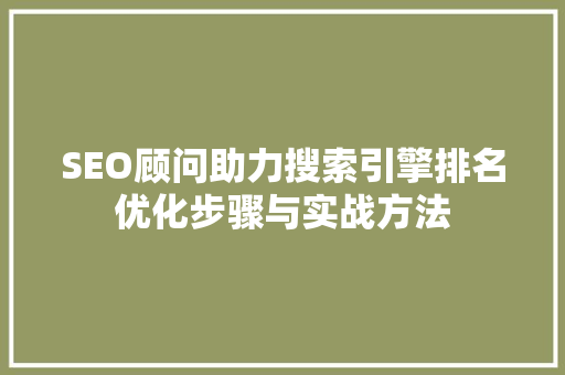 SEO顾问助力搜索引擎排名优化步骤与实战方法