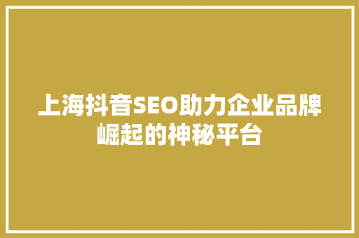 上海抖音SEO助力企业品牌崛起的神秘平台