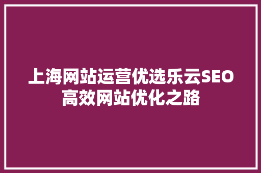 上海网站运营优选乐云SEO高效网站优化之路