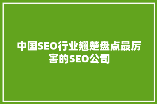 中国SEO行业翘楚盘点最厉害的SEO公司