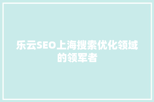 乐云SEO上海搜索优化领域的领军者