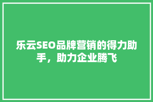 乐云SEO品牌营销的得力助手，助力企业腾飞