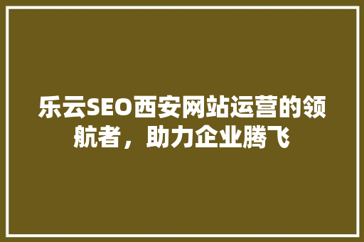 乐云SEO西安网站运营的领航者，助力企业腾飞