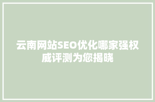 云南网站SEO优化哪家强权威评测为您揭晓
