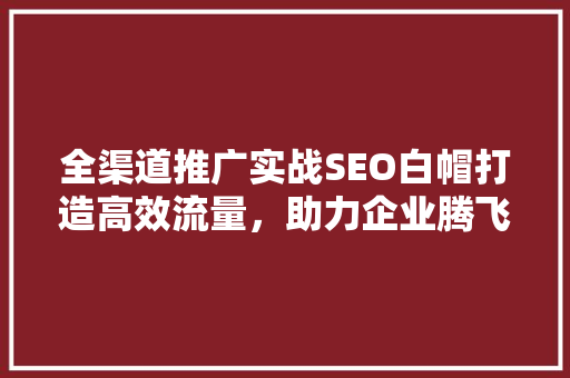 全渠道推广实战SEO白帽打造高效流量，助力企业腾飞