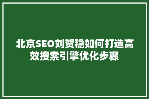 北京SEO刘贺稳如何打造高效搜索引擎优化步骤