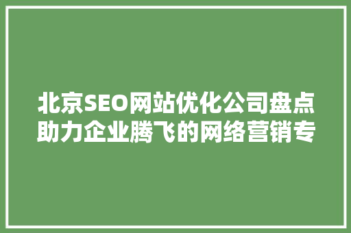 北京SEO网站优化公司盘点助力企业腾飞的网络营销专家