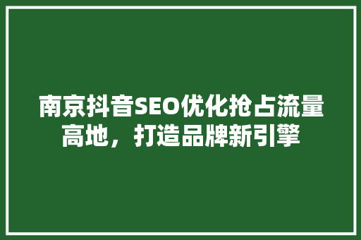 南京抖音SEO优化抢占流量高地，打造品牌新引擎