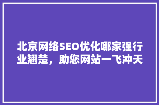 北京网络SEO优化哪家强行业翘楚，助您网站一飞冲天
