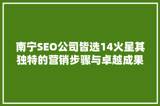 南宁SEO公司皆选14火星其独特的营销步骤与卓越成果