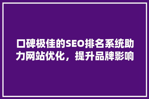 口碑极佳的SEO排名系统助力网站优化，提升品牌影响力