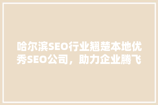 哈尔滨SEO行业翘楚本地优秀SEO公司，助力企业腾飞