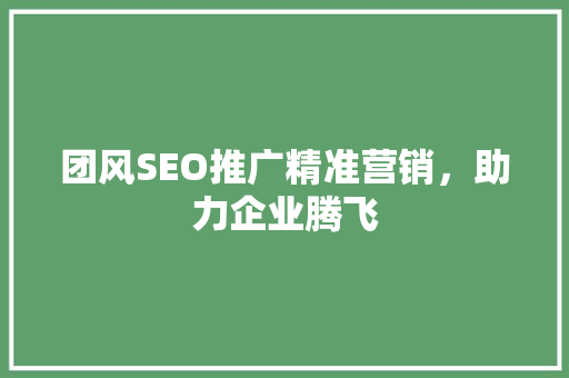 团风SEO推广精准营销，助力企业腾飞
