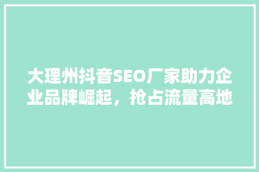 大理州抖音SEO厂家助力企业品牌崛起，抢占流量高地