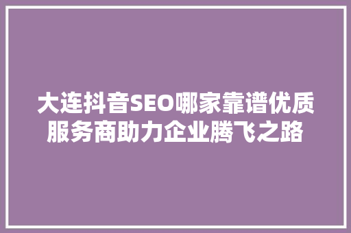 大连抖音SEO哪家靠谱优质服务商助力企业腾飞之路