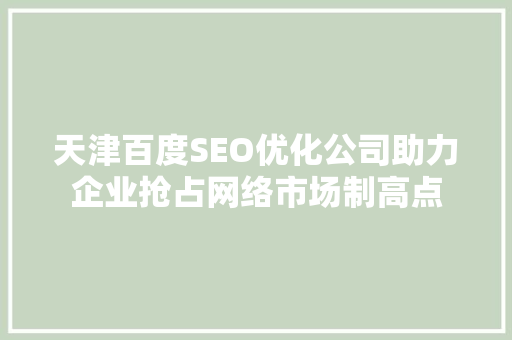 天津百度SEO优化公司助力企业抢占网络市场制高点