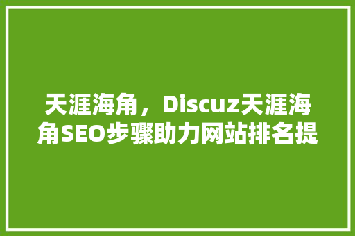 天涯海角，Discuz天涯海角SEO步骤助力网站排名提升