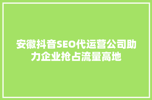 安徽抖音SEO代运营公司助力企业抢占流量高地