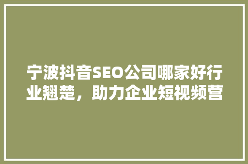 宁波抖音SEO公司哪家好行业翘楚，助力企业短视频营销腾飞