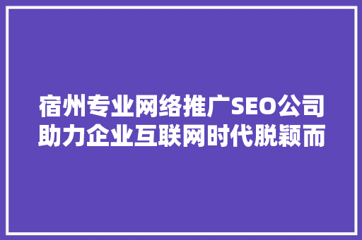 宿州专业网络推广SEO公司助力企业互联网时代脱颖而出
