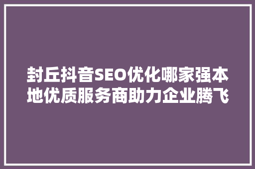 封丘抖音SEO优化哪家强本地优质服务商助力企业腾飞之路