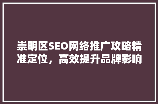 崇明区SEO网络推广攻略精准定位，高效提升品牌影响力